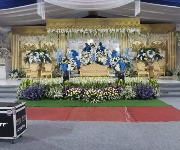 WhatsApp Image 2026-04-23 at 07.34.53